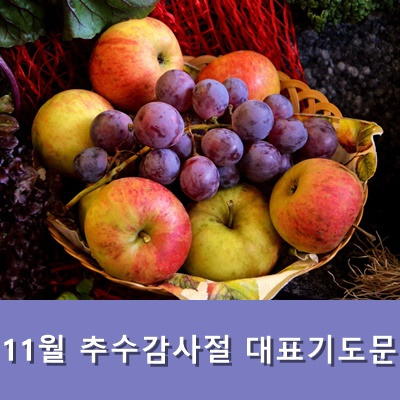 11월 추수감사절 대표기도문