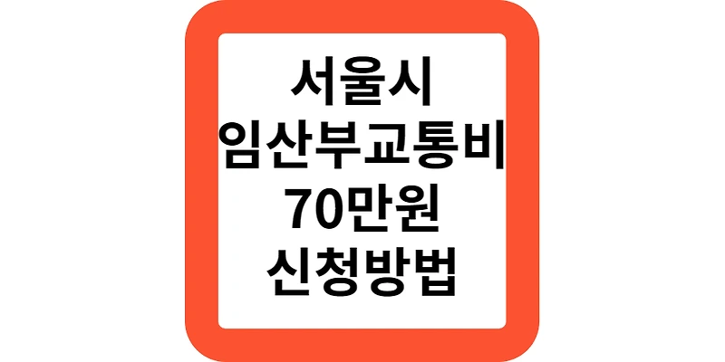 서울시 임산부 교통비 지원사업 70만원 대상 지원 내용 신청방법