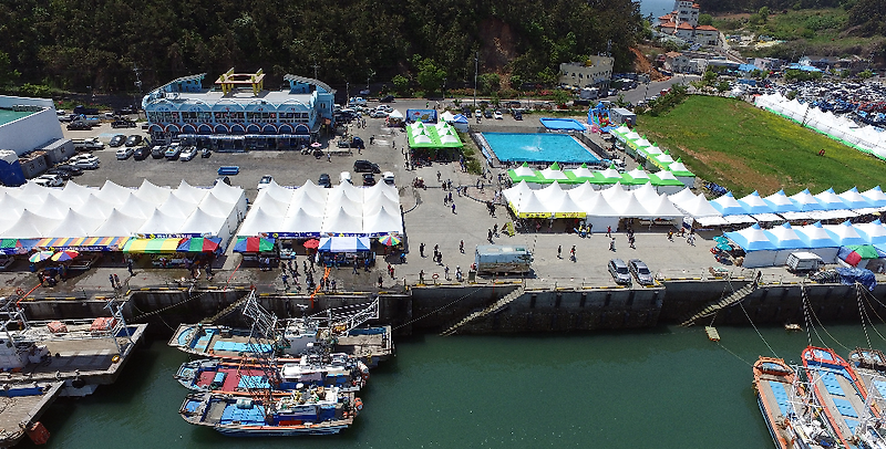 서천 자연산 광어 도미 축제 : 향토 해산물과 문화의 향연