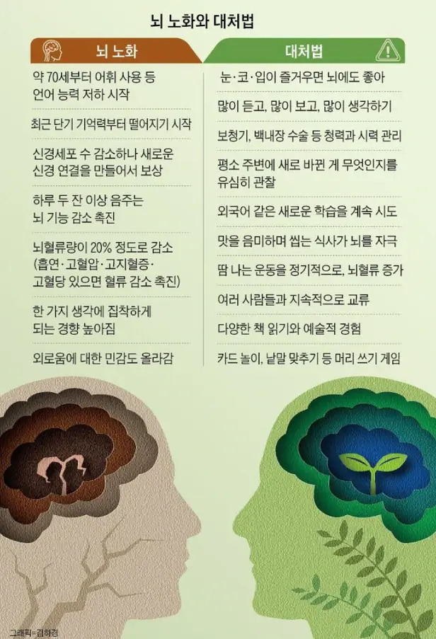 뇌 노화 막는 요령