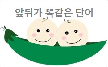 앞뒤가 똑같은 단어