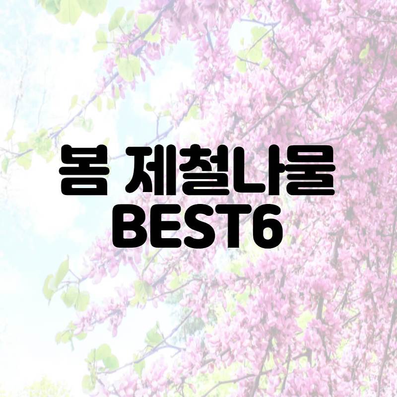 봄 제철나물 BEST6