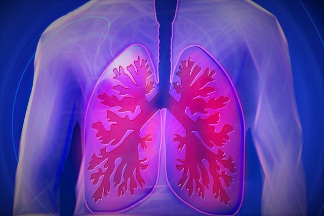 만성폐쇄성 폐질환(COPD) : 초록색 가래, 가슴통증 폐질환, 흡연 COPD