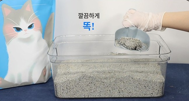 고양이 모래 추천 시크샌드 고양이 모래 6kg