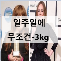 서트푸드 다이어트 식단 및 효능