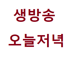 생방송 오늘저녁 대하생대하무침 대하, 삼색전 이북식 찹쌀떡 백반 명인 강순의 유투버 대구전, 육전, 애호박전,새참 줍쇼 옆집 부자의 비밀 노트