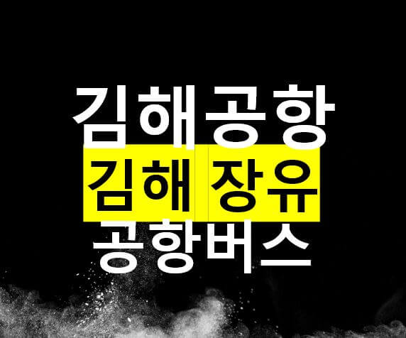 장유 김해공항리무진 버스 / 시간표, 노선도, 요금, 정류장, 장유문화센터