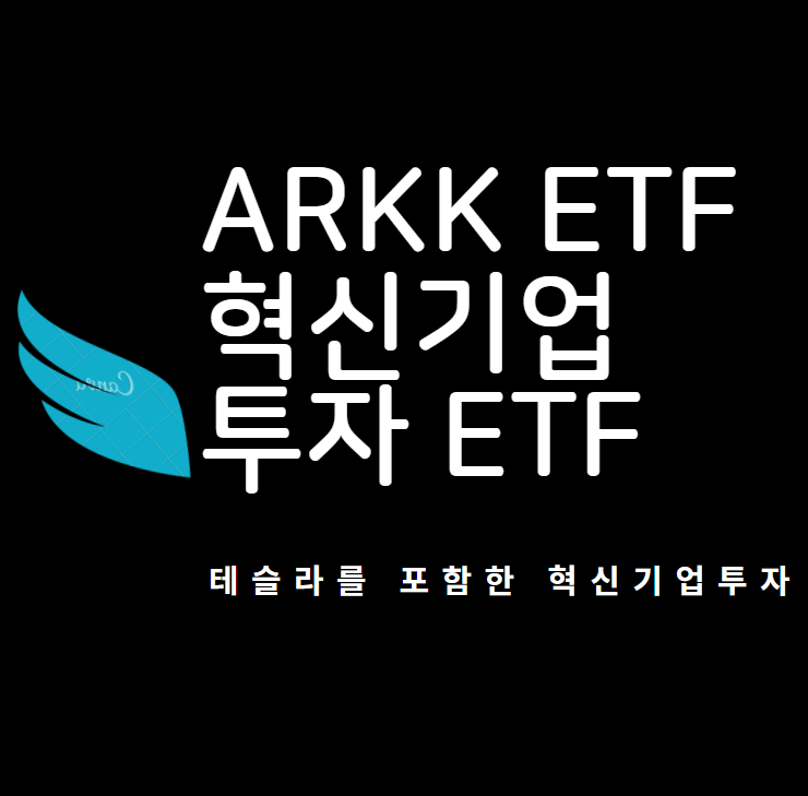 ARKKETF : 혁신기업만 골라 투자하는 ETF (with 테슬라)