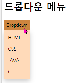 CSS 드롭다운(dropdown) 매뉴 설정
