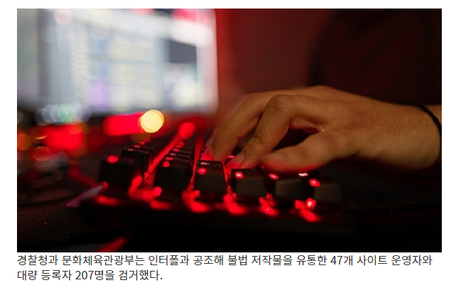 웹툰·한류 콘텐츠 불법유통 사범 207명 검거_문화체육관광부