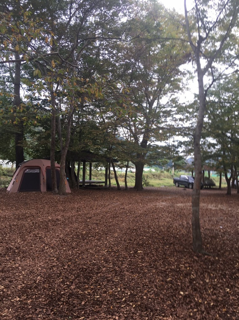 청주 미원 대덕숲유원지 노지캠핑