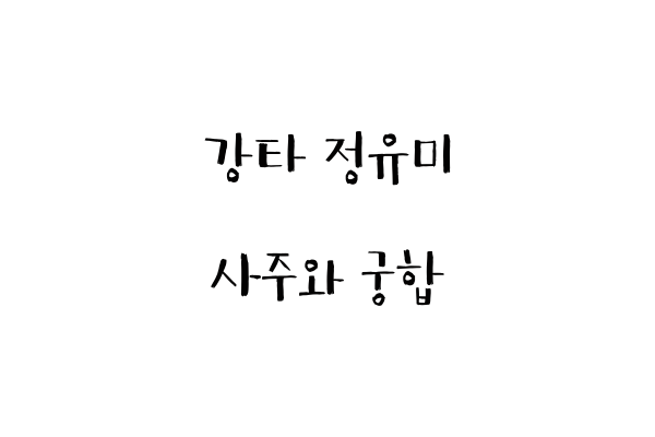 강타 정유미 사주와 궁합