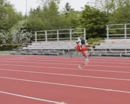 100m 달리기 세계 기록 보유 로봇  VIDEO: Robo-Ostrich Sprints to 100-meter World Record
