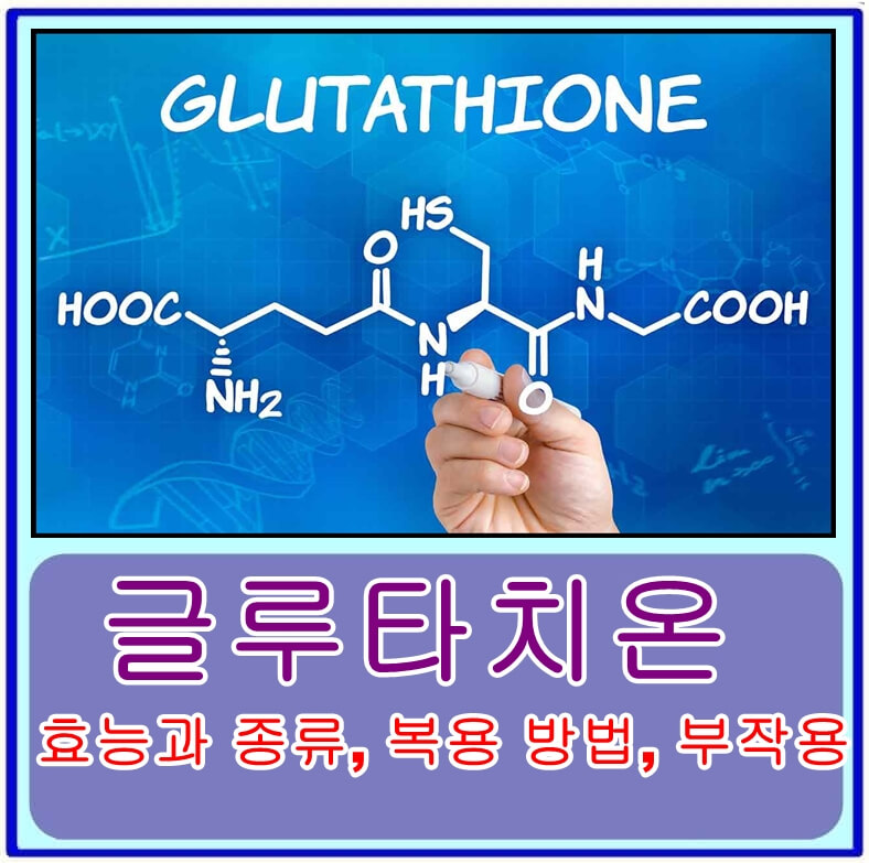 글루타치온의 효능과 종류, 복용 방법, 부작용, 꼭 먹어야하는 음식
