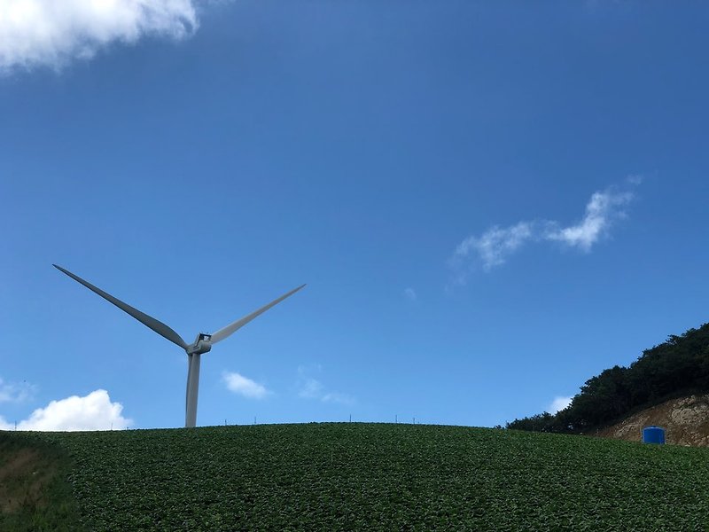 (강원도 강릉)차박 장소 추천 강릉 가볼만한 곳 안반데기