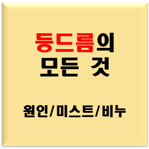 등드름 없애고 싶은 사람? 원인/미스트/비누