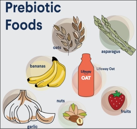 몸에 좋다는 '프리바이오틱스'가 많은 식품들 Scientists name top five foods rich in prebiotics