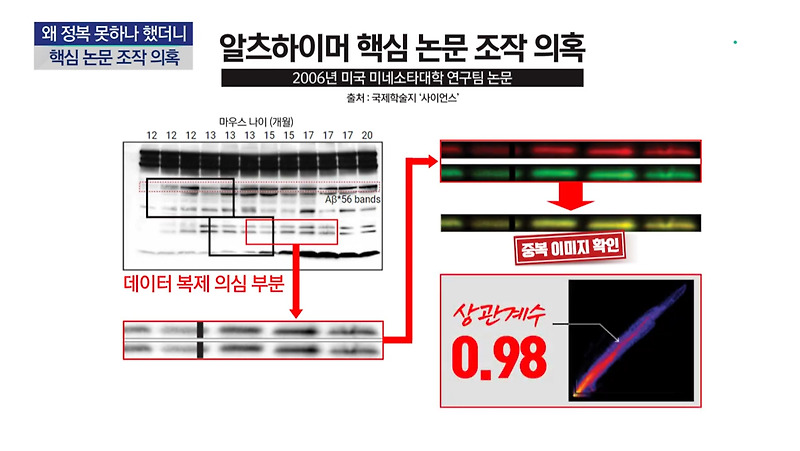 아밀로이드 베타, 알츠하이머 핵심 논문 조작 의혹