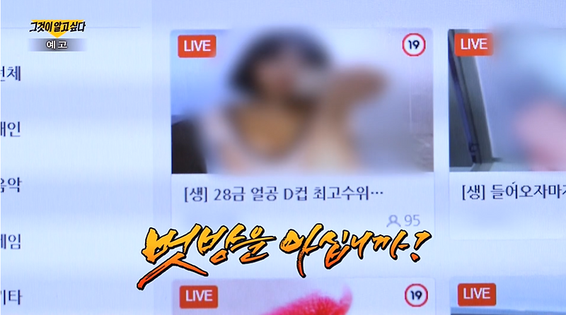 그알 1207회 -벗방 카르텔의 진실(feat.웹하드카르텔 뜻 /카르텔 뜻)