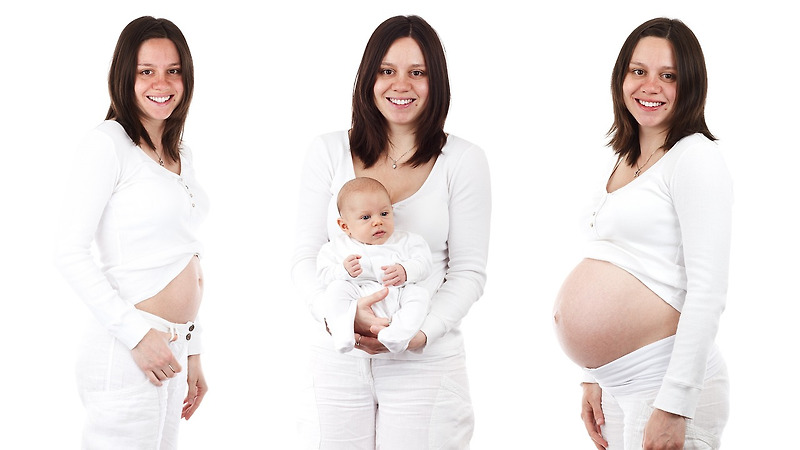 임신 중 건강한 식습관과 임신 분기별 영양 관리