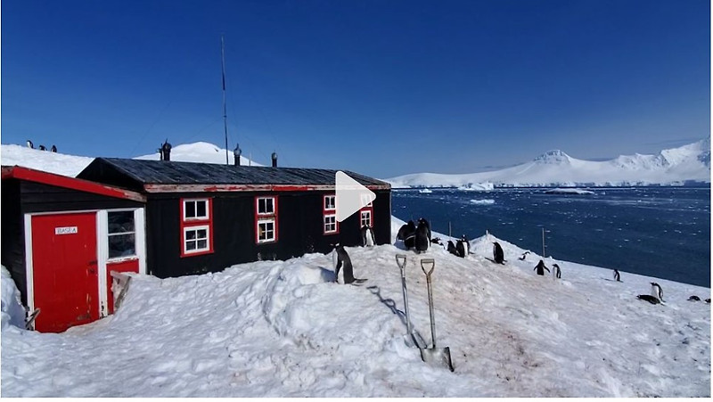 남극의 펭귄 우체국
