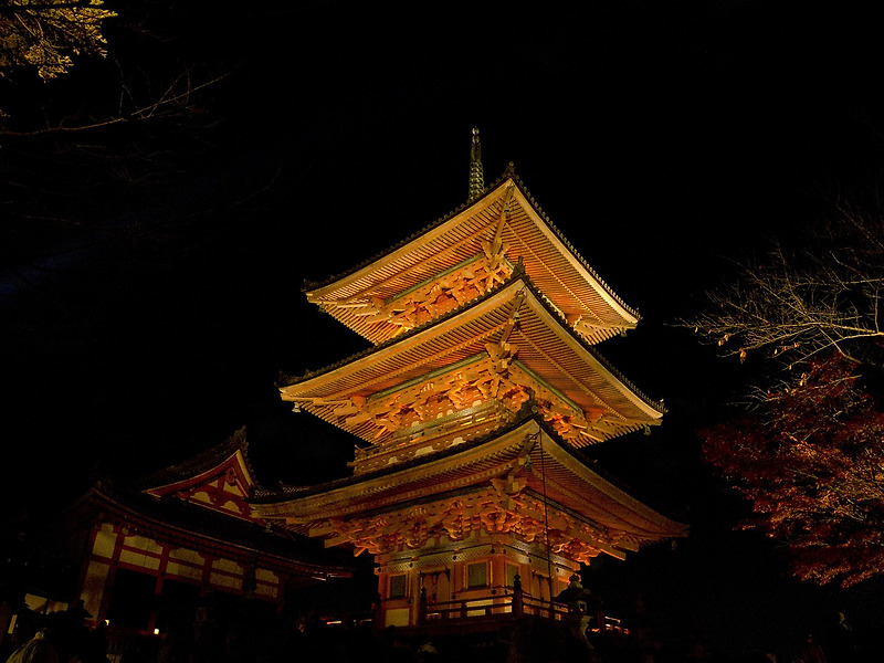 교토 여행: 아름다움과 전통이 어우러진 일본의 보석