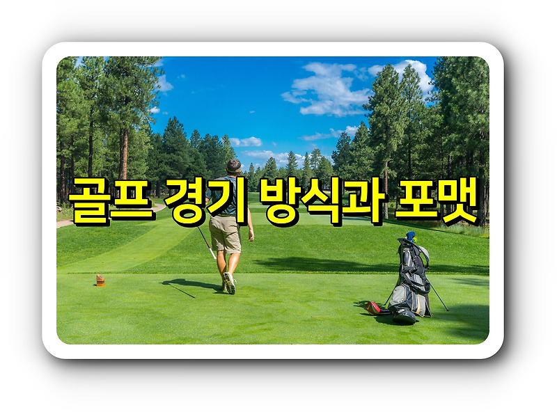 골프 경기 방식과 포맷