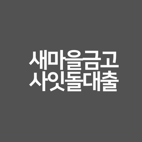 금융정보시스템