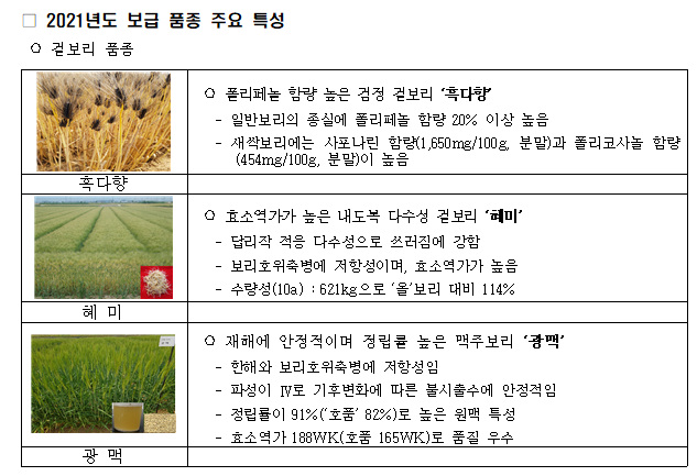 [농촌진흥청] 우리 보리 11품종, 9월부터 보급