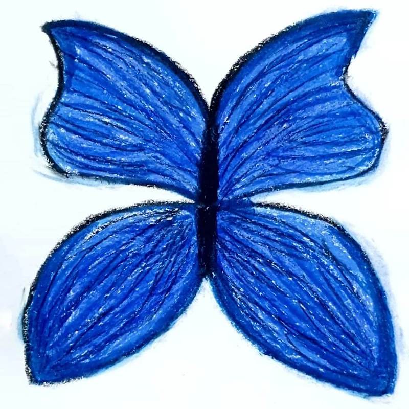Blue Butterfly 파란 나비 / 일러스트 그림 드로잉 / 나비 그리기