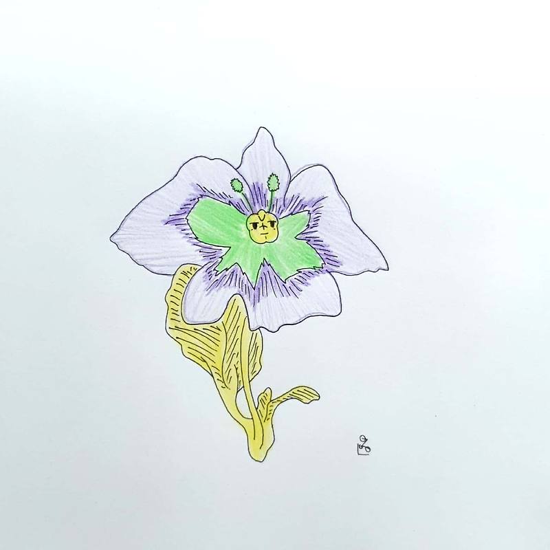 떨떠름한 표정을 한 꽃