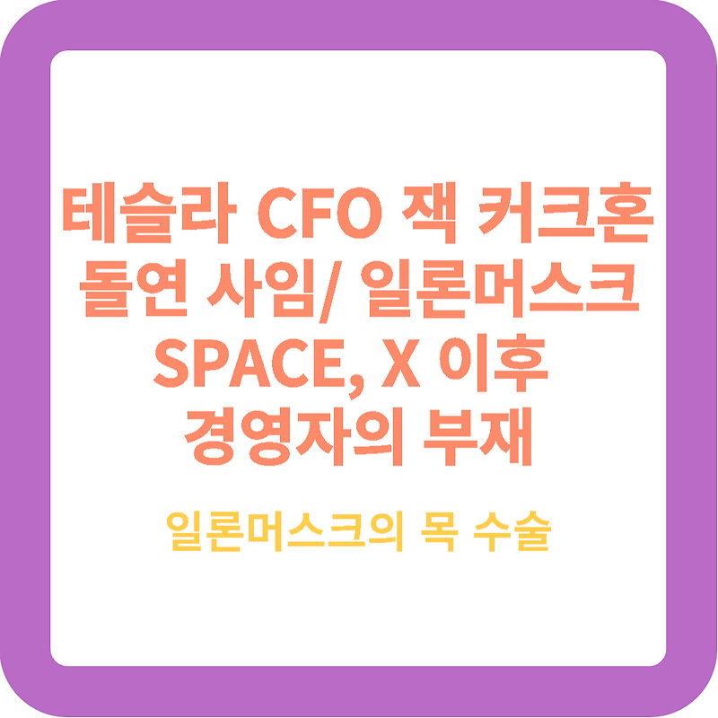테슬라 대표 일론 머스크 테슬라 CFO 잭 커크혼 돌연 사임