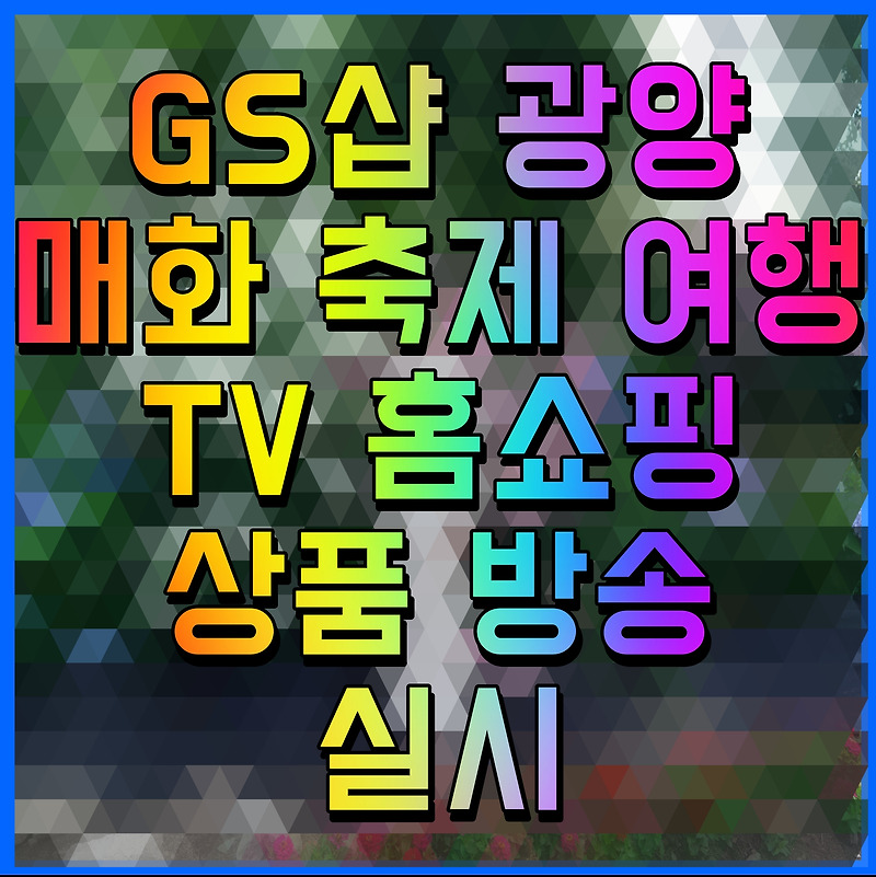 GS샵 광양 매화 축제 여행 TV 홈쇼핑 상품 방송 실시