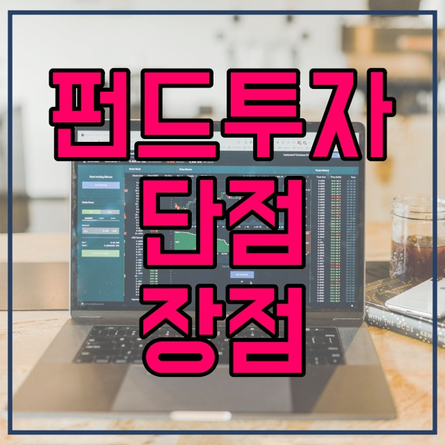 펀드 투자의 단점과 장점_사모펀드 546