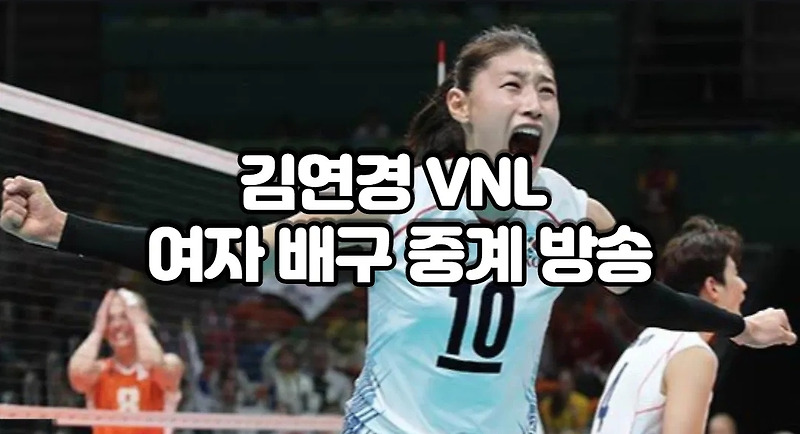 VNL 벨기에 여자배구 중계 무료 실시간 사이트 | 2021년 6월 2 네이션스 리그 live