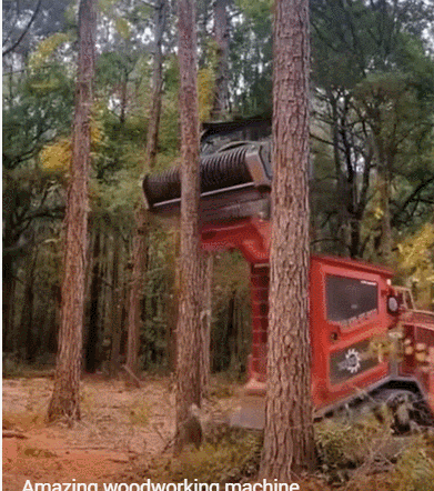 나무를 가루로 만들어 버리는 벌채 머신 VIDEO: Amazing woodworking machine