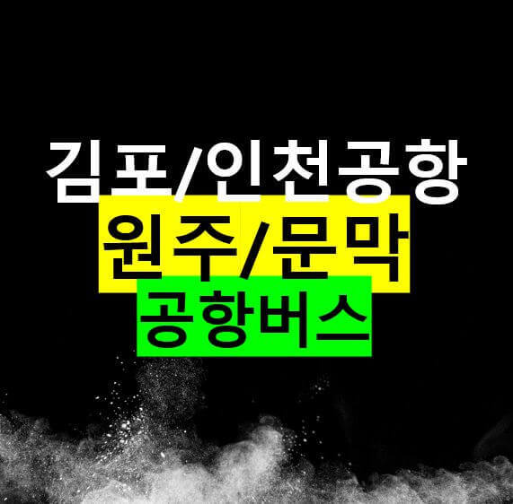원주 문막에서 김포공항, 인천공항 리무진 버스 / 시간표 요금 버스타고 예약