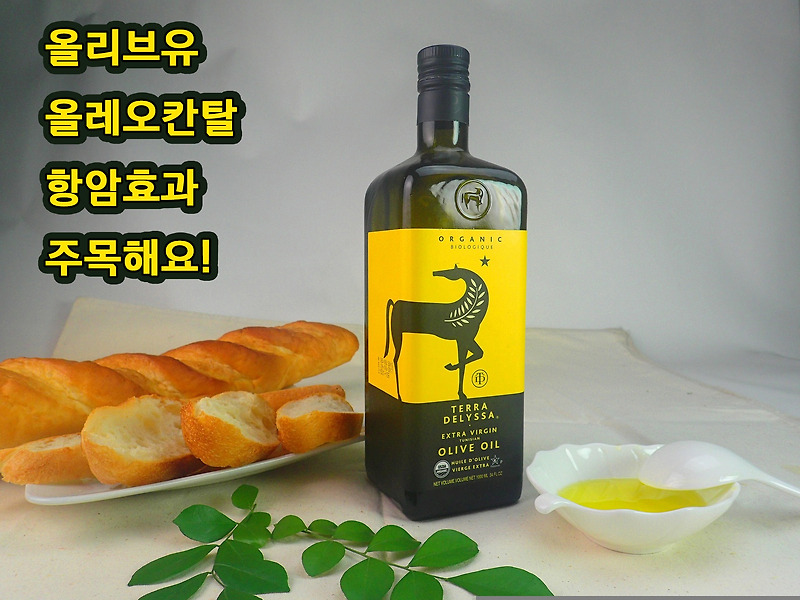 엑스트라버진 올리브유 올레오칸탈의 효능, 암세포를 사멸시키는 올리브유 올레오칸탈의 항암효과!