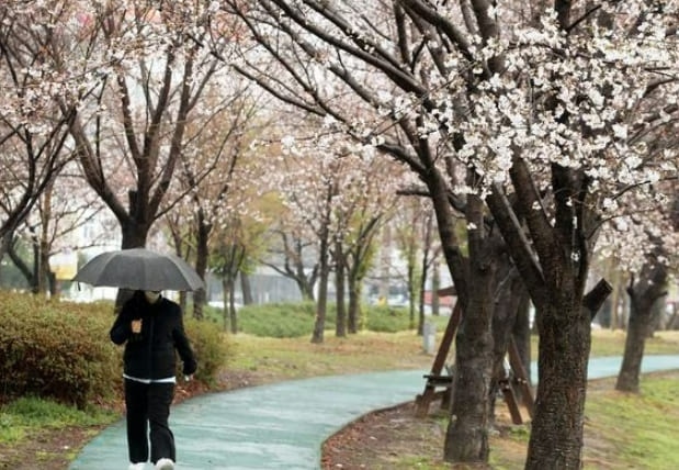 모레까지 많은 비 온다...“하천·계곡 등 접근 자제