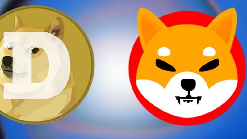 일론 머스크 때문에 오르는 암호화폐들 VIDEO:Elon Musk brings Shiba Inu back to Earth - Dogecoin is the only meme token he’s betting on