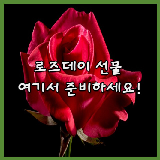 로즈데이 선물 추천 아직 정하지 못하셨다면?