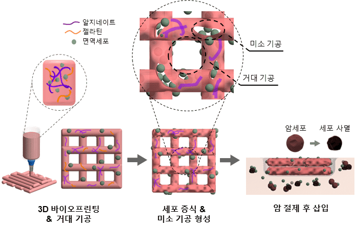 기계연구원, 세계 최초 암세포 제거 3D 바이오프린팅 기술개발