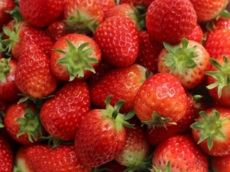 딸기는 어디에 좋을까? 딸기의 효능 성분