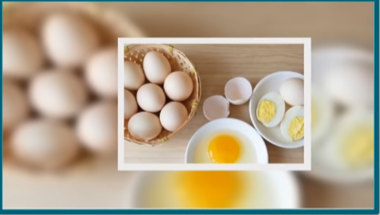 계란 다이어트 효과/일주일에 5kg 빼는 다이어트
