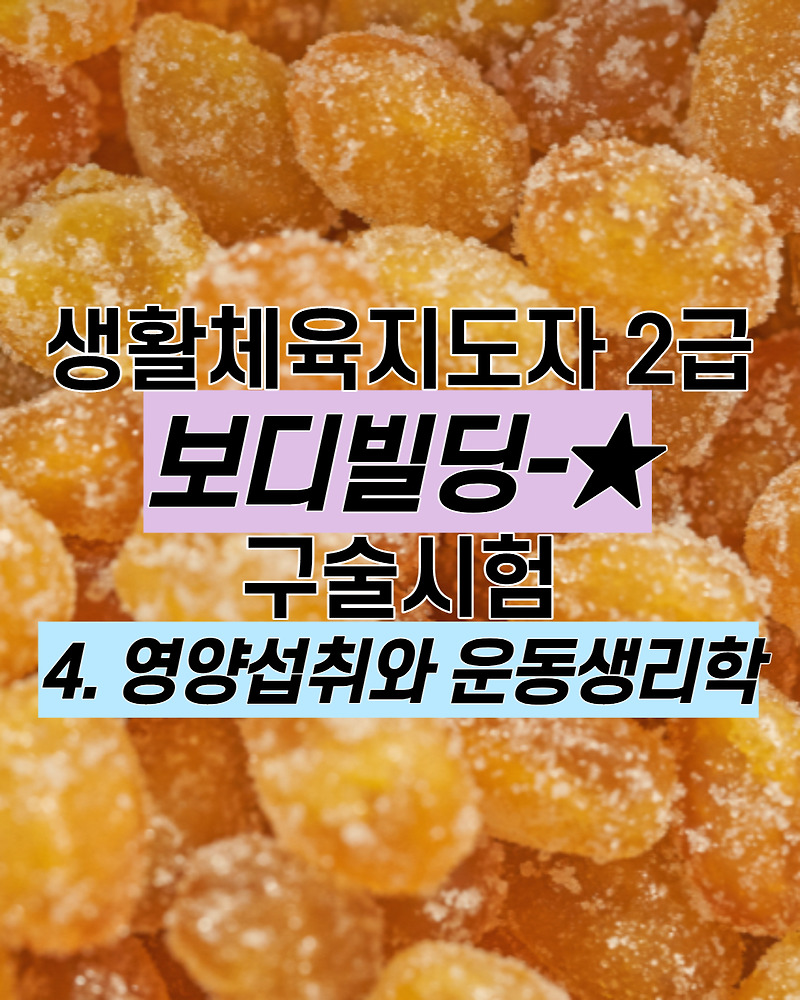 4) 영양섭취와 운동생리학 : 생활체육지도자 2급 보디빌딩 구술시험 예상문제/기출문제/정리본/무료 ^ㅡ^)/