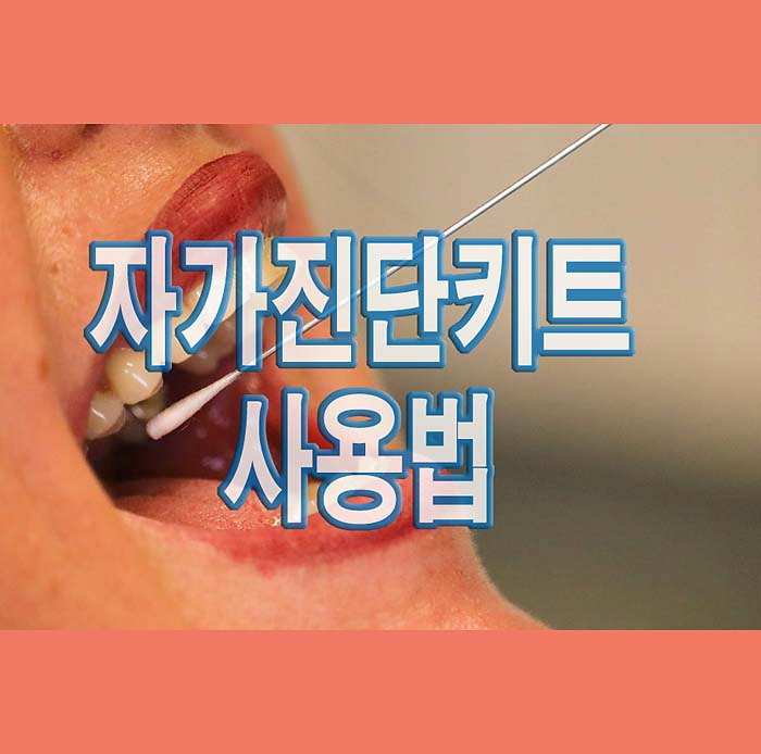 코로나 자가진단 키트 사용법