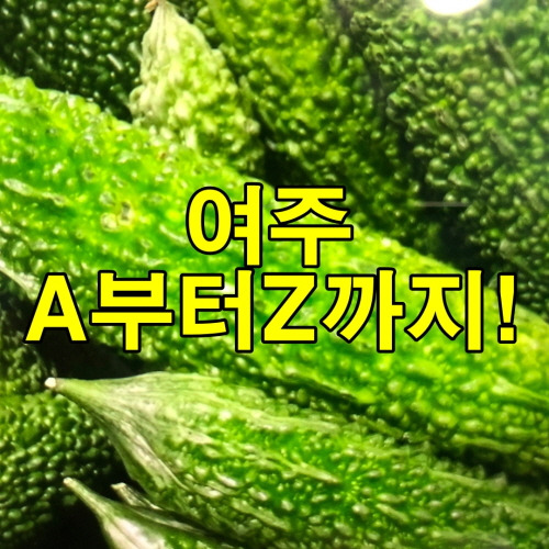 여주효능에서 부작용,섭취방법 까지 A부터 Z까지 여주의 모든것!
