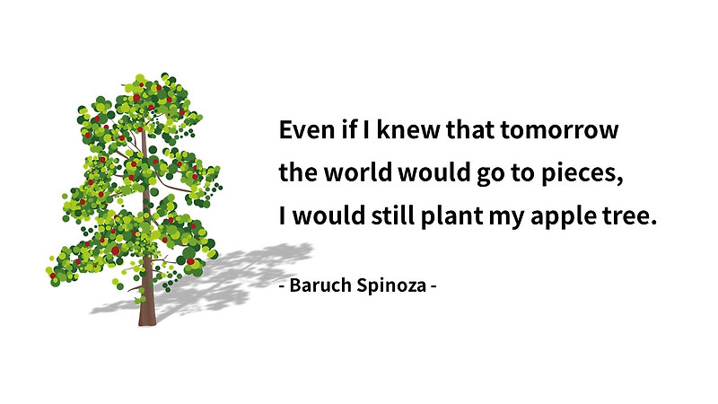 미래, 준비, 투자, 계획, 사과나무에 대한 스피노자(Spinoza) 영어 명언