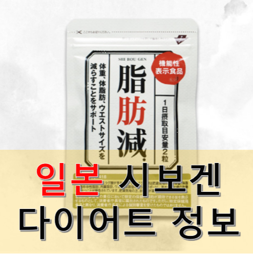 일본 시보겐 효과 후기 정리