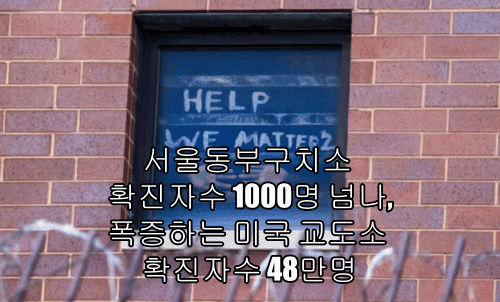 서울동부구치소 확진자수 1000명 넘나, 폭증하는 미국 교도소 확진자수 48만명